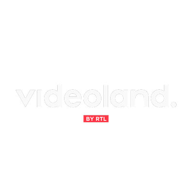 videolanda videoland logo